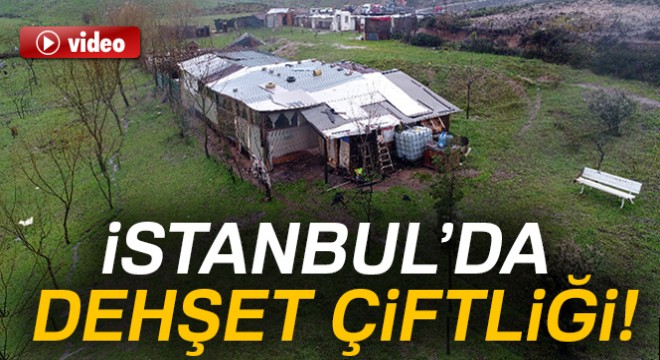 İstanbul da dehşet çiftliği!
