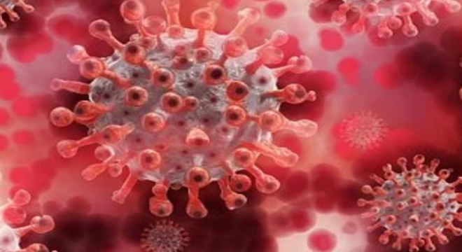 Koronavirüs salgınında ölenlerin sayısı 9 bin 874 e ulaştı