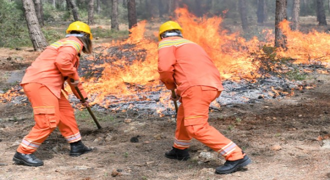 Orman yangınlarıyla gönüllü mücadele: Hedef 100 bin gönüllü