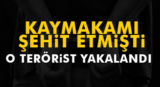 Şehit kaymakam Safitürk suikastının planlayıcısı Kızıltepe’de yakalandı