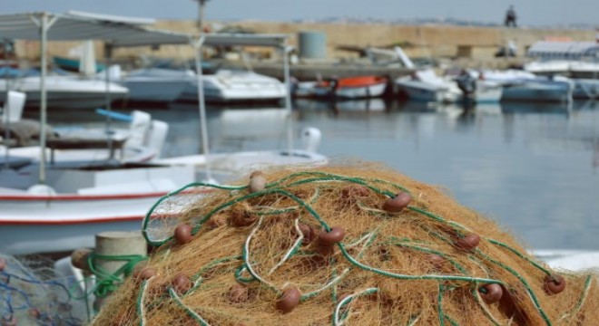 Su ürünleri avcılığı akdeniz de 15 Eylül, diğer denizlerimizde 1 Eylülde başlayacak