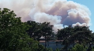 İzmir Bergama ve Bursa Büyükorhan'daki yangınlar kontrol altına alındı